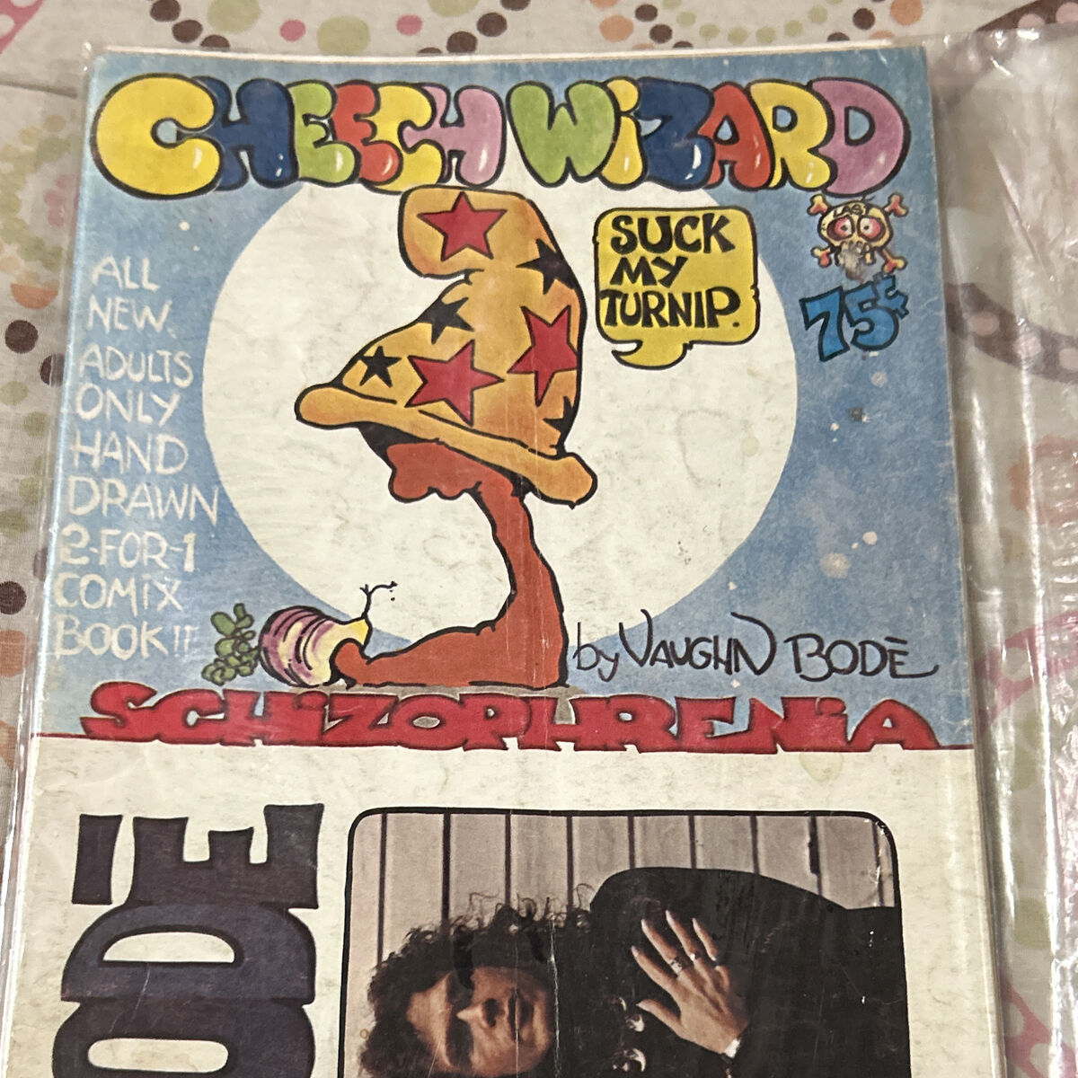 CHEECH  WIZARD  By VAUGHN BODE