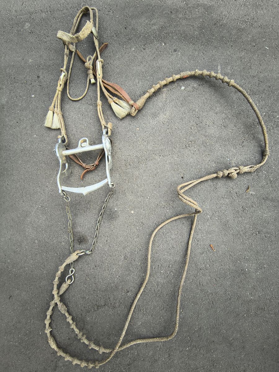 Vintage Horse Hair Bridal and Reins