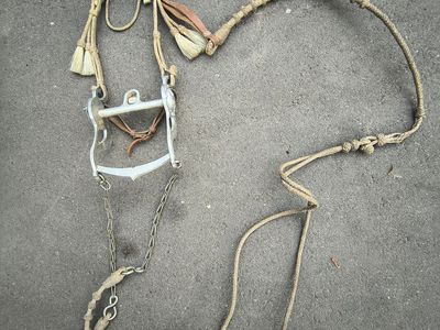 Vintage Horse Hair Bridal and Reins
