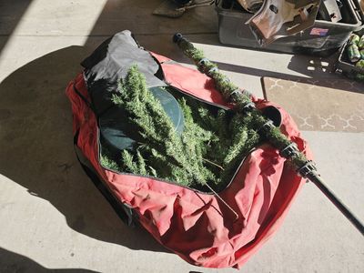 Large Christmas Tree