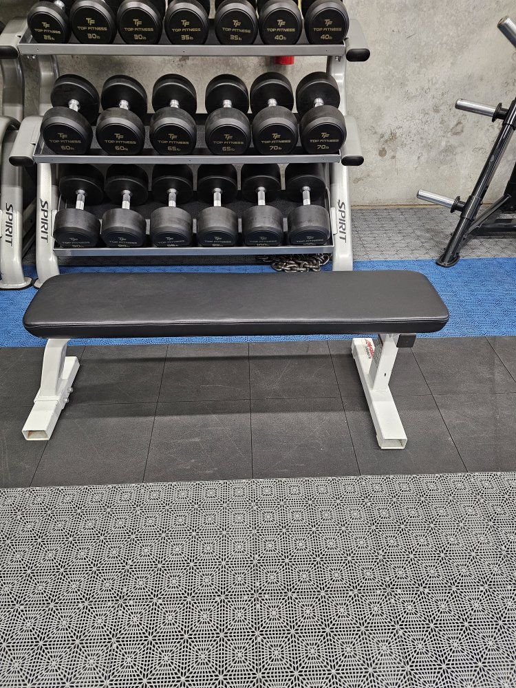Life Fitness flat bench