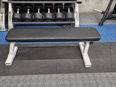 Life Fitness flat bench
