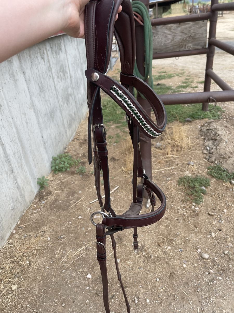 Bitless bridle