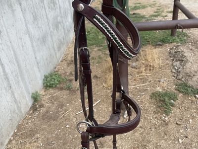 Bitless bridle