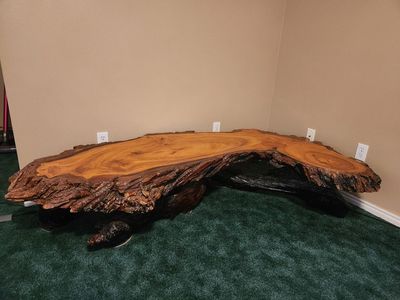 Live edge Tree Coffee Table