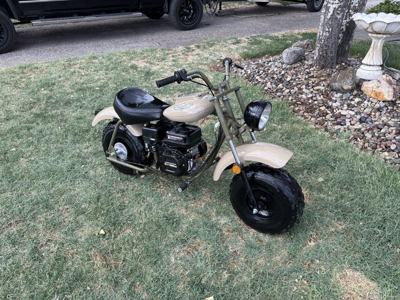 Mini bike