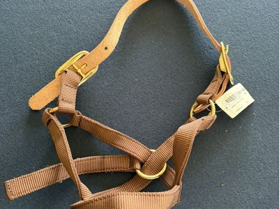 Foal Halter
