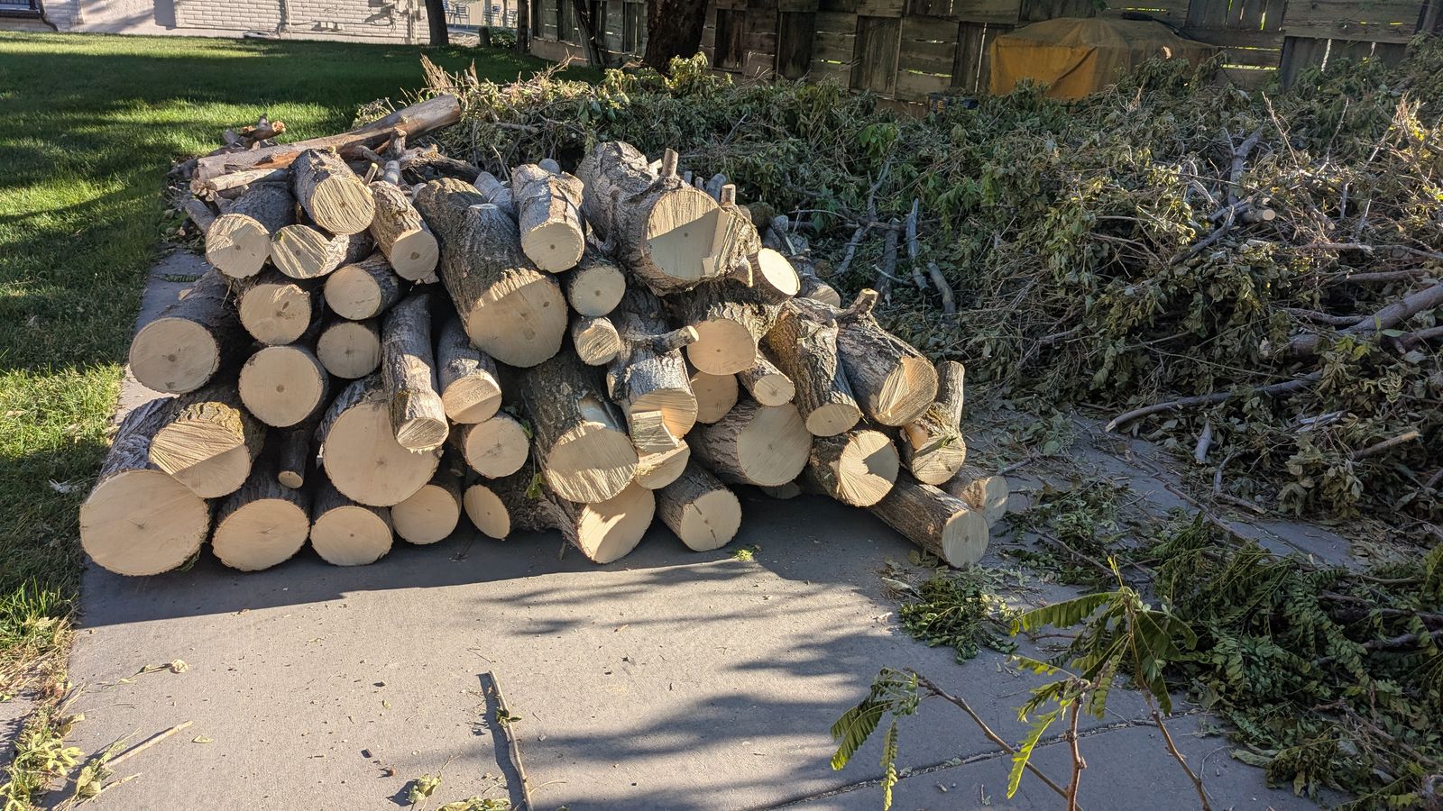 Free firewood.  Already cut in reasonable sizes.  You haul away.  Hardwood and Softwood near BYU Stadium