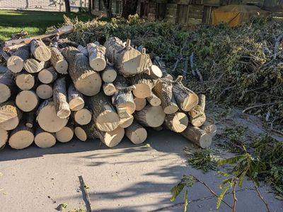 Free firewood. Already cut in reasonable sizes. You haul away. Hardwood and Softwood near BYU Stadium