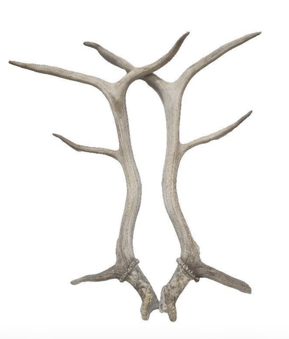 Elk shed