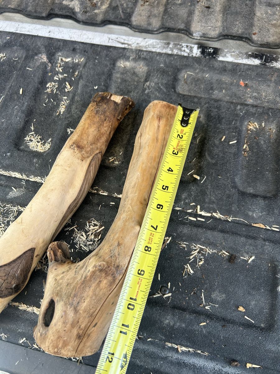 Reptile wood
