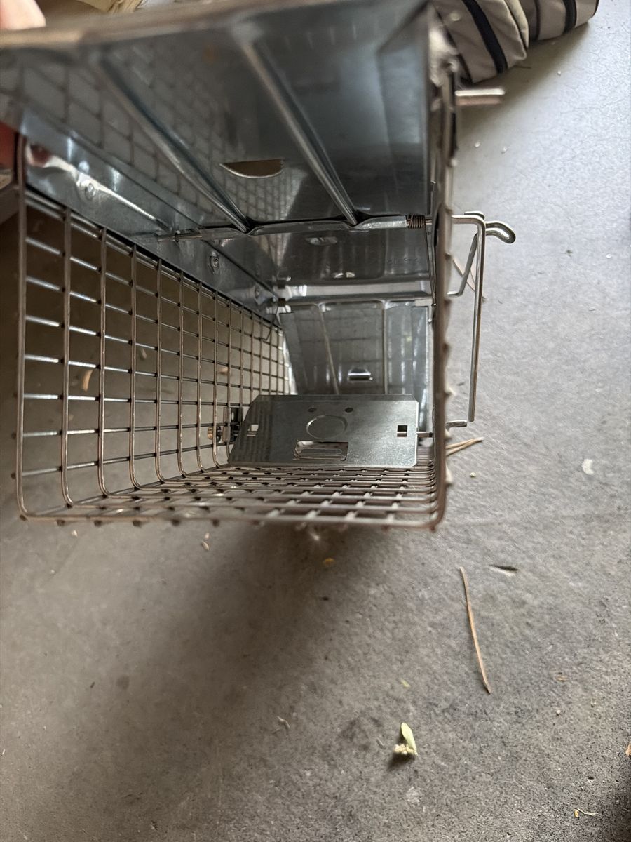 Main image 3