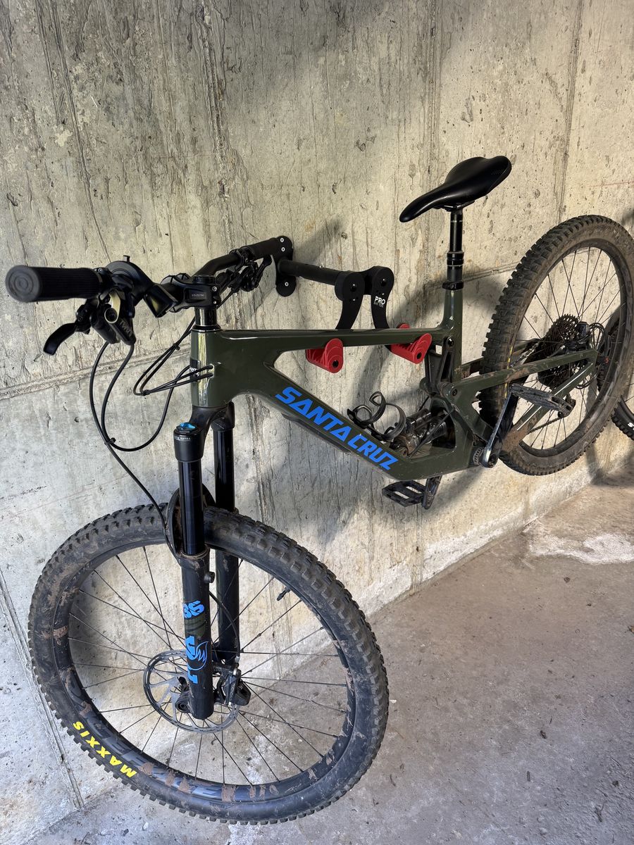 Santa Cruz Bronson L