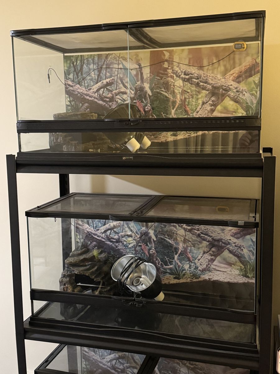 Reptile tanks