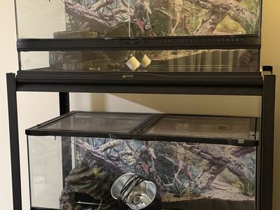 Reptile tanks