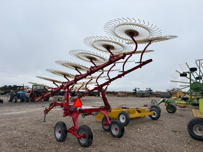 Sitrex 14 Wheel Rake