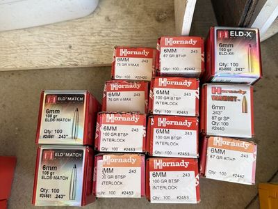 .243 6mm bullets