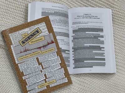 The Agency Discussions