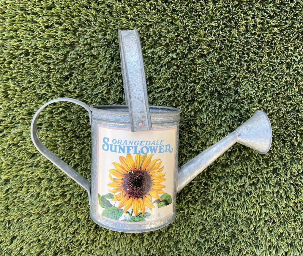 NEW Tin Watering Can