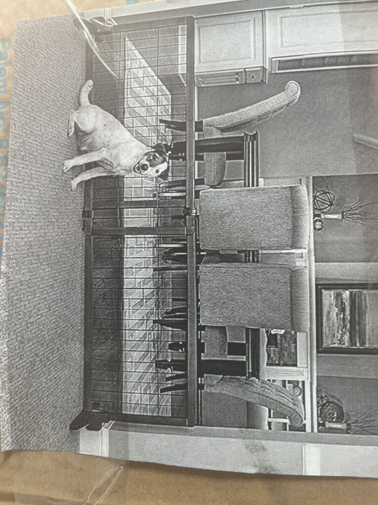 Design Paw Expand barrier