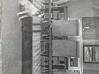 Design Paw Expand barrier