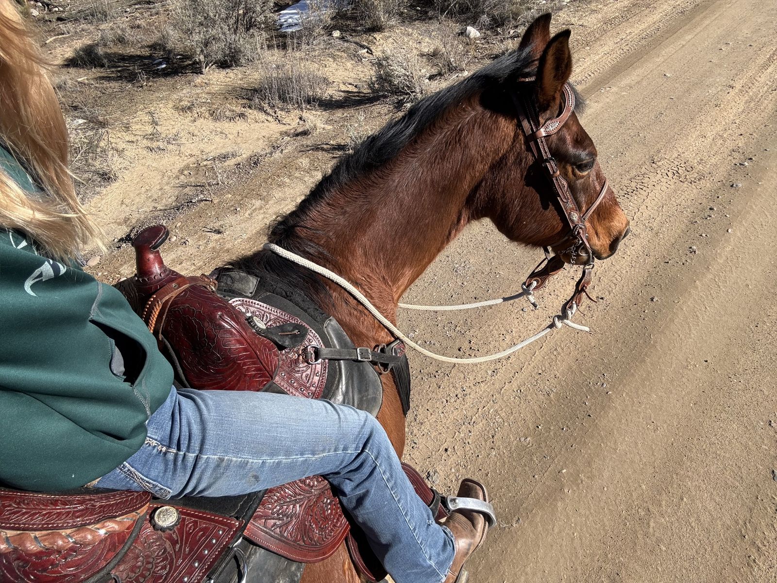 Horse trainer or farm hand.