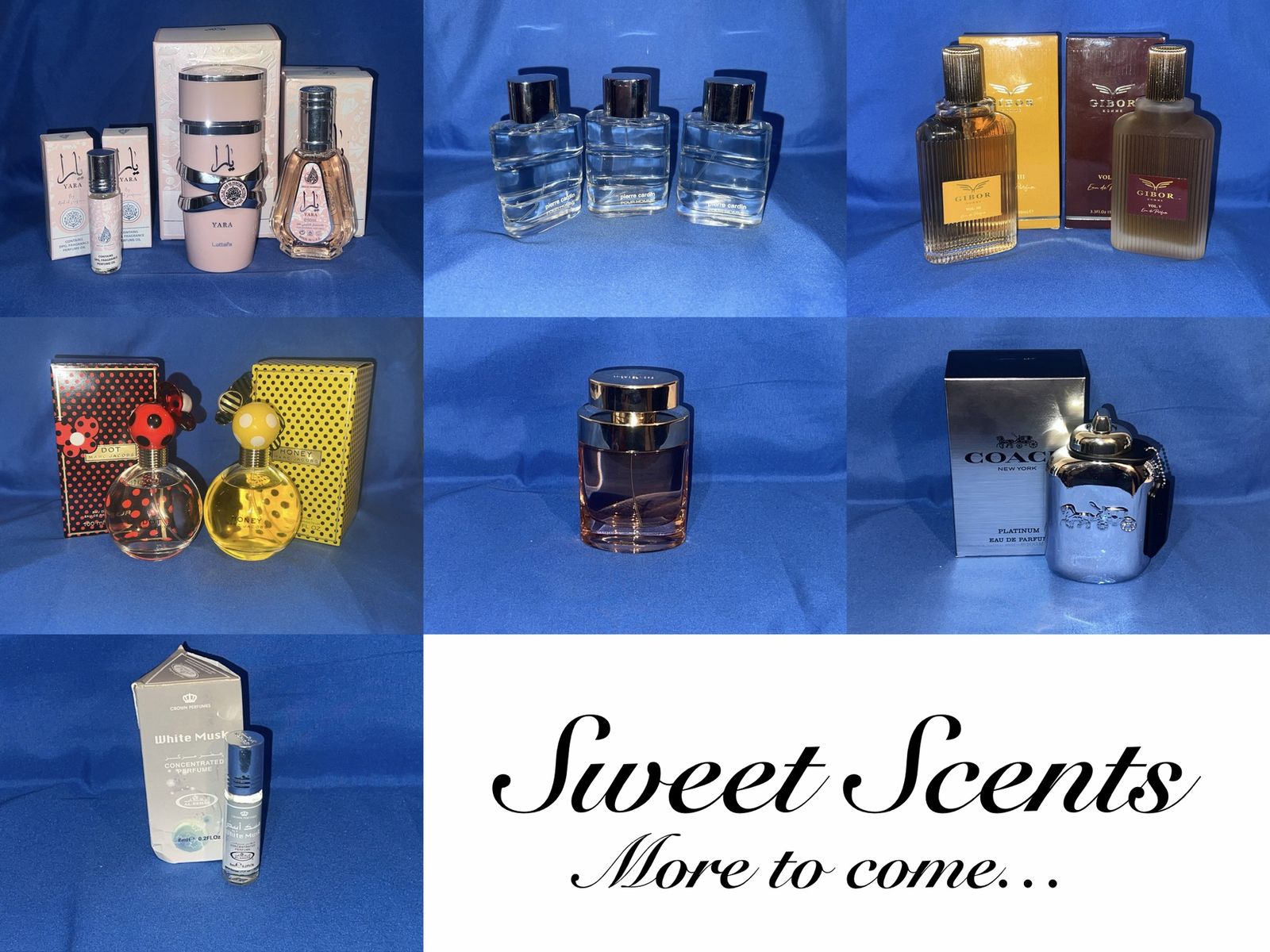 Men & Womens Fragrance