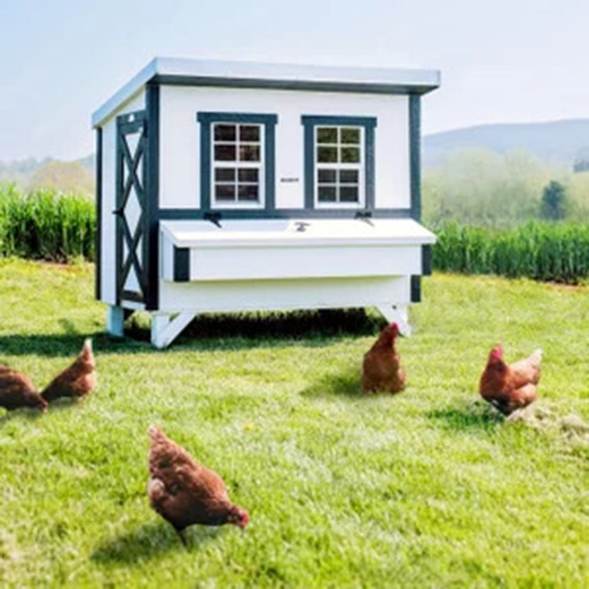 OverEZ Classic Large Chicken Coop with Feeder and Waterer (AMISH MADE)