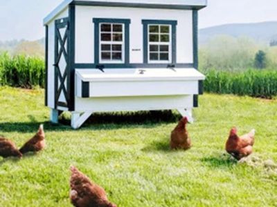 OverEZ Classic Large Chicken Coop with Feeder and Waterer (AMISH MADE)