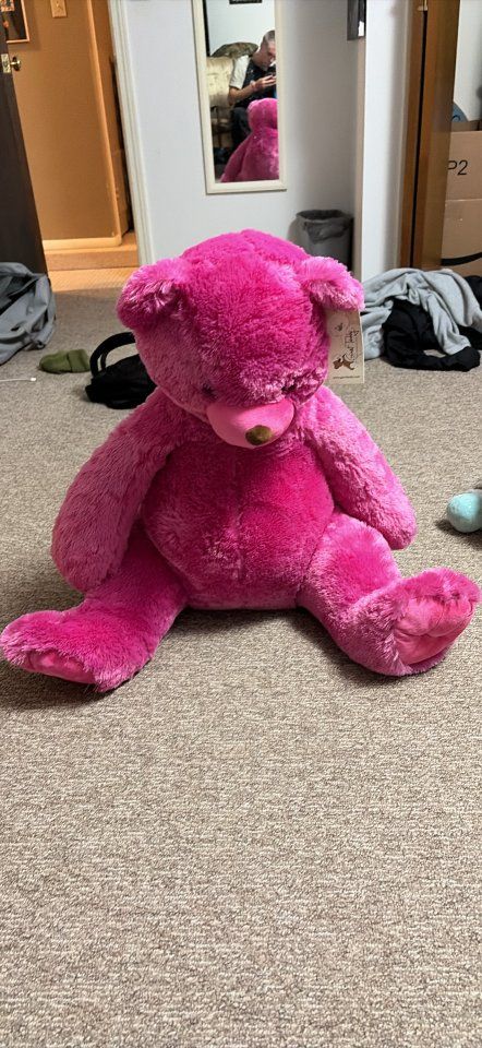 Large Pink Plush Sloth and Hot Pink Teddy Bear Stuffed Animals - Lot of 2