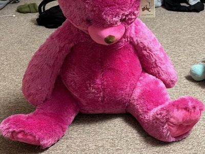 Large Pink Plush Sloth and Hot Pink Teddy Bear Stuffed Animals - Lot of 2