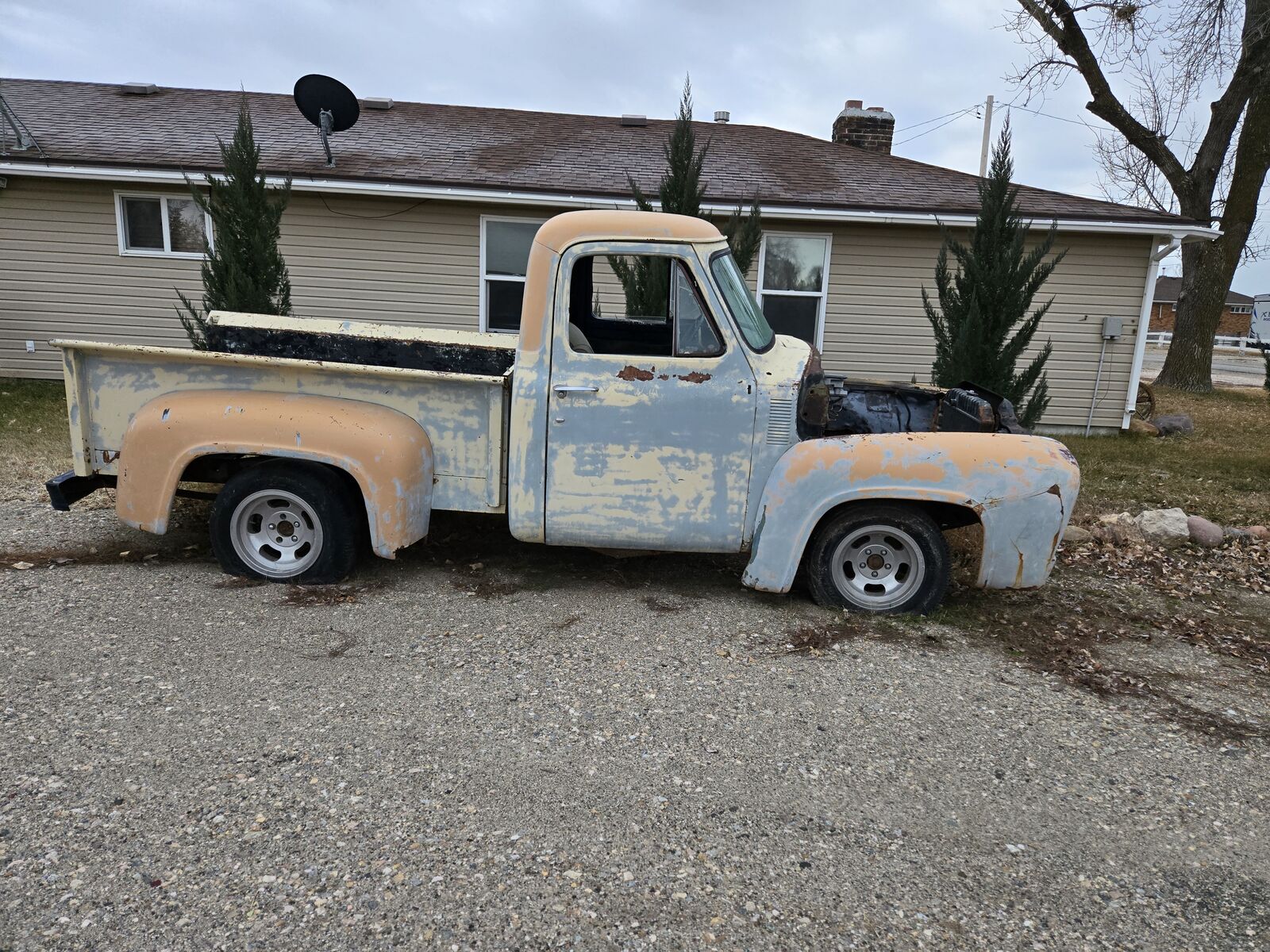 1955 Ford  F100 x 2