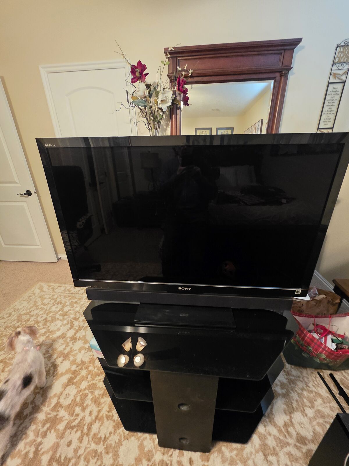 Sony Hi-Def 3D Flat Panel TV