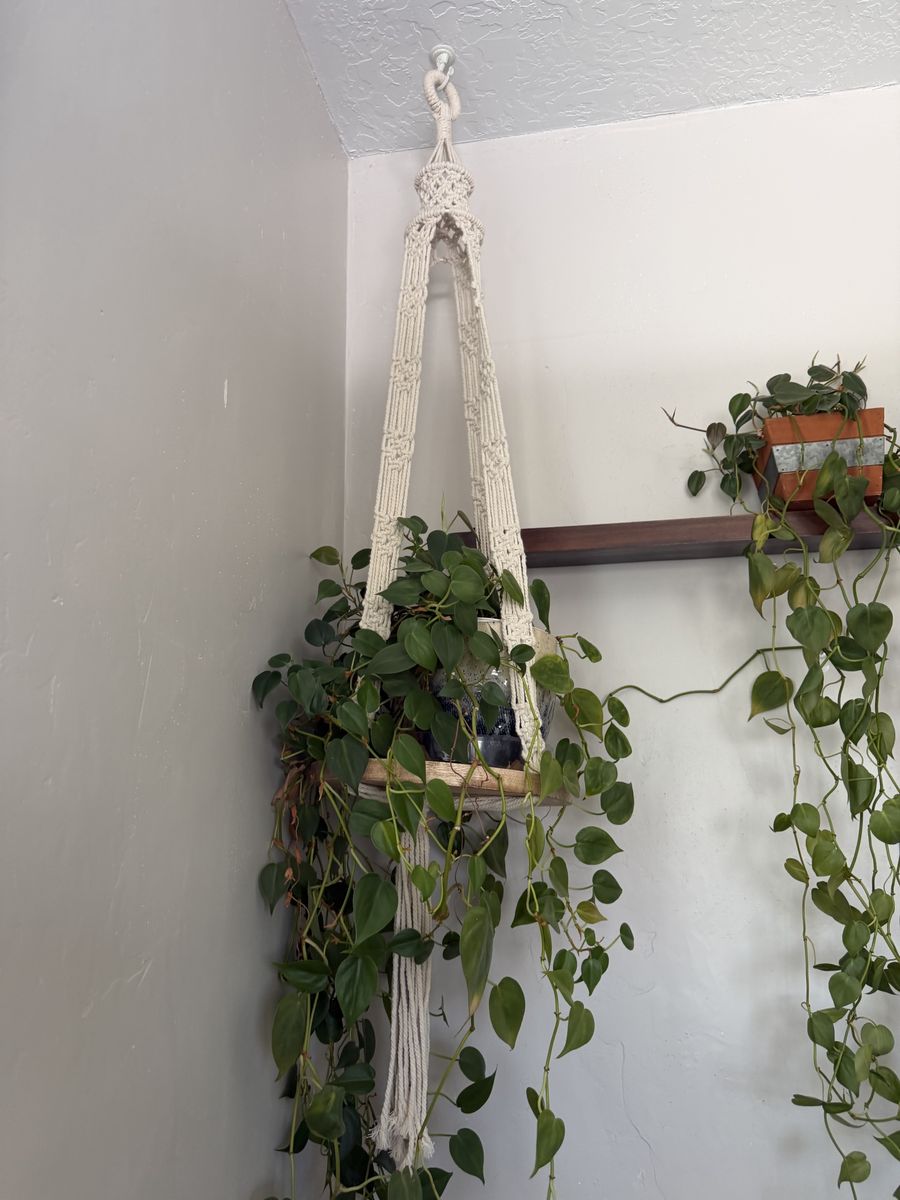 Main image 3