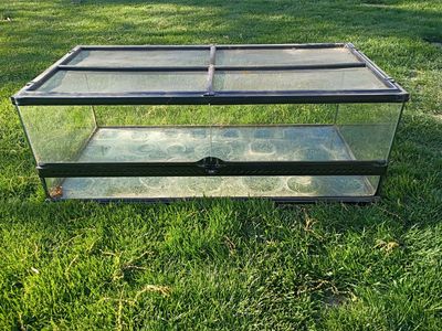 Exoterra tank!