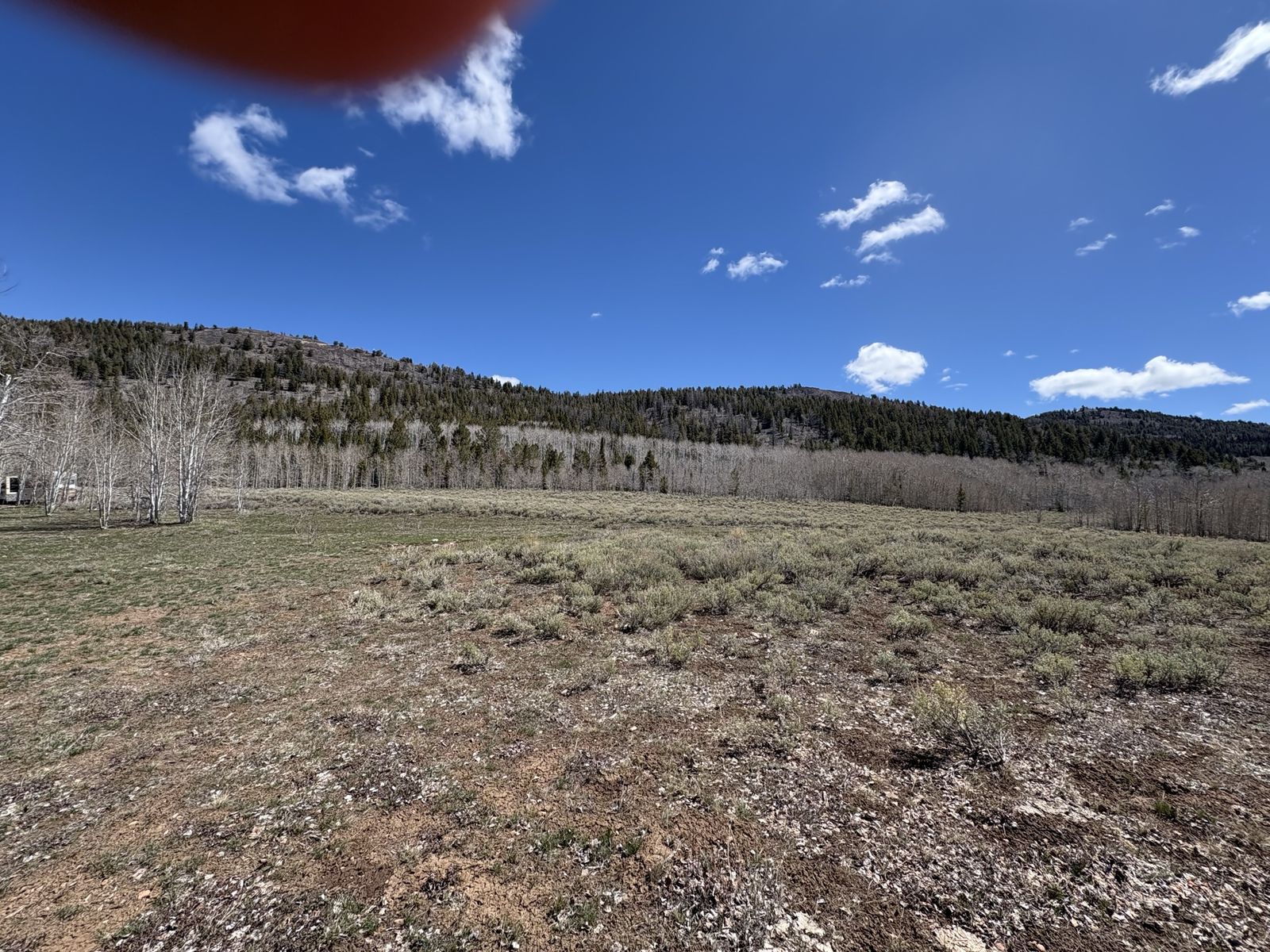 Main image 7