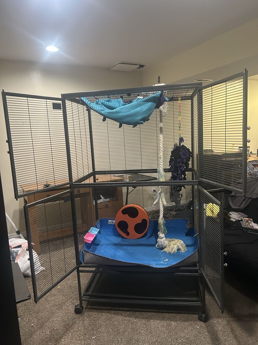 Large Double-Tier Black Wire Pet Cage with Wheels and Accessories