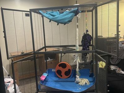 Large Double-Tier Black Wire Pet Cage with Wheels and Accessories