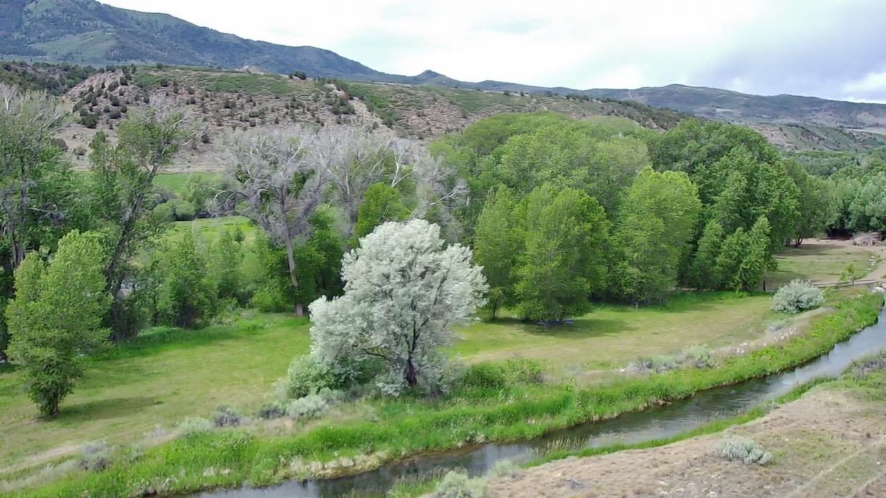 Main image 4