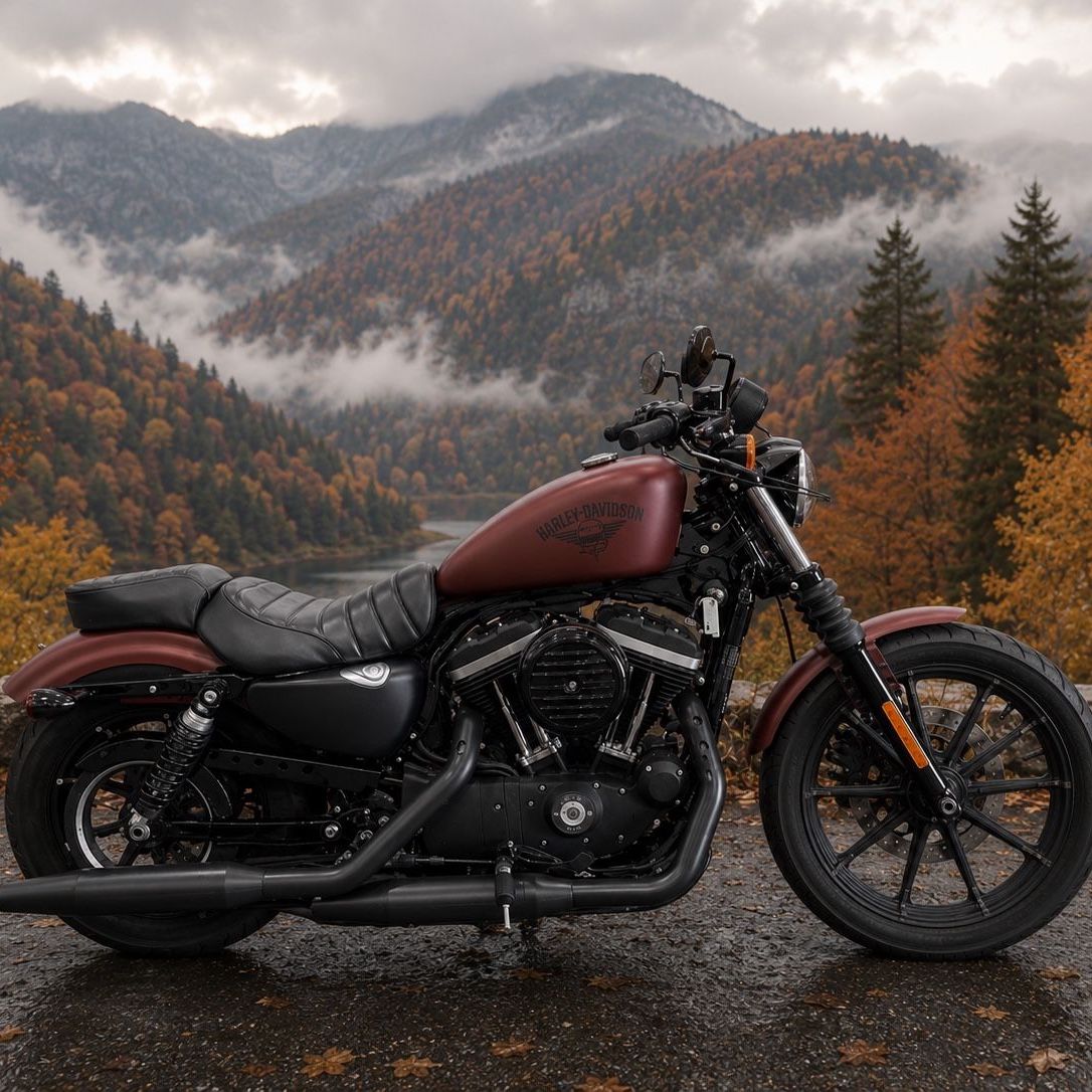 2017 Harley Davidson Sportster 883