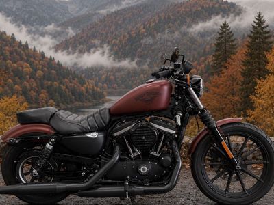 2017 Harley Davidson Sportster 883
