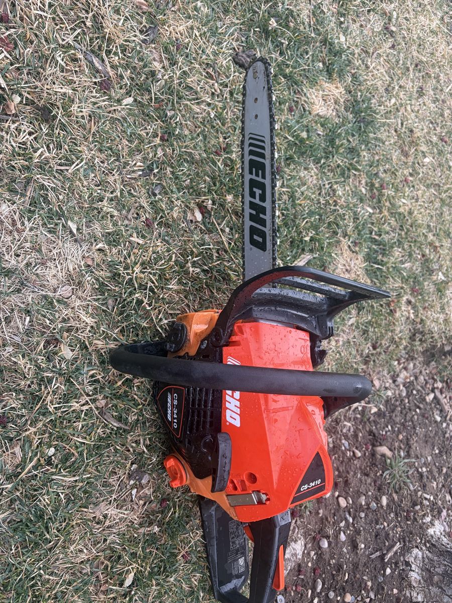 Echo Chainsaw
