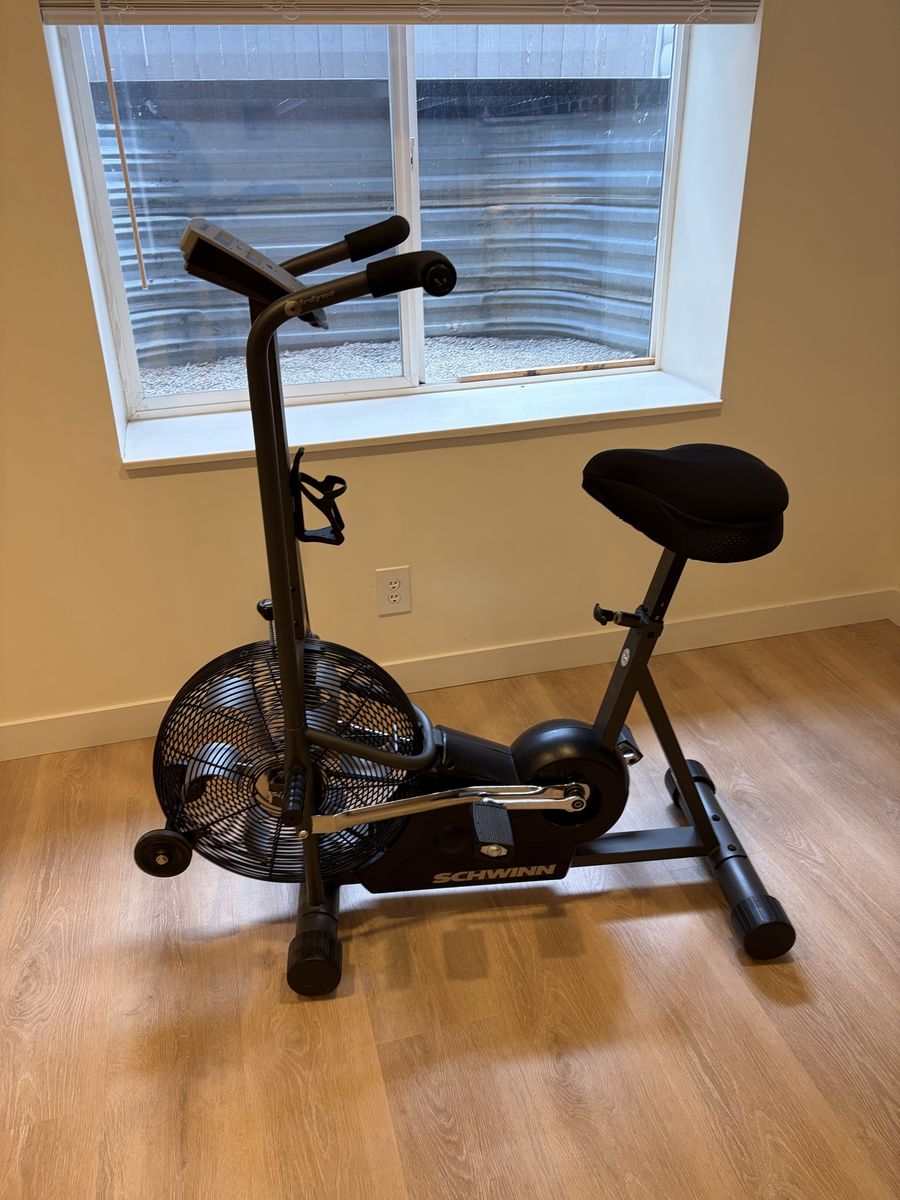 Schwinn airdyne
