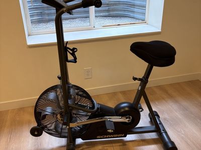 Schwinn airdyne