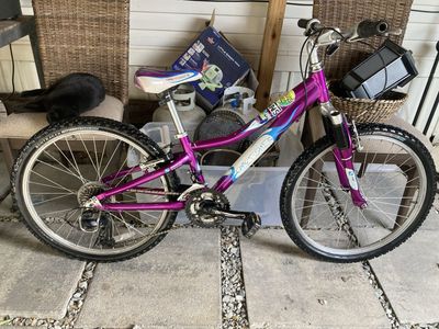 Gary fisher 24inch kids mountain bike