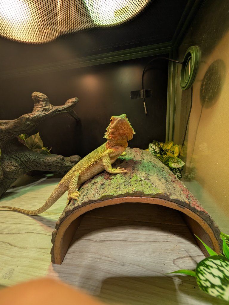 Main image 3