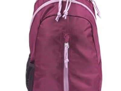 NEW: Eddie Bauer 10L Sling Bag