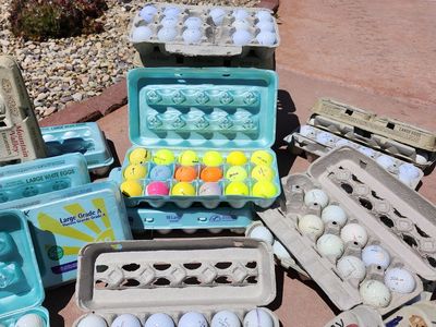 Great Condition Used Golf Balls, Huge Variety of Brands, Pick Your Own!