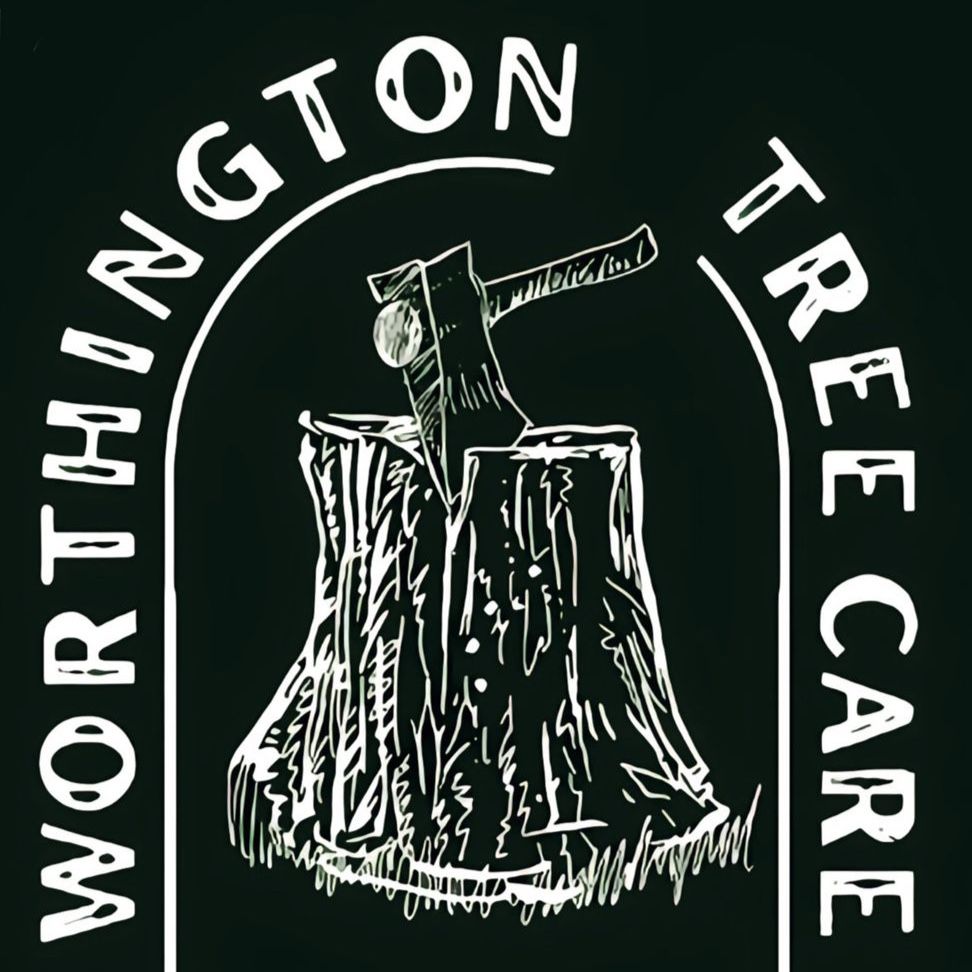Get Your Trees and Bushes Serviced Today!
