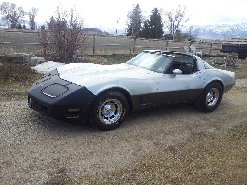 1981 CHEVROLET CORVETTE